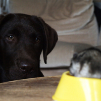 Photo #152275 de Easy