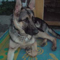 Photo #153571 de Djo