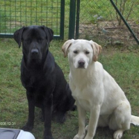 Photo #153703 de Cortex et dinka