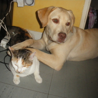 Photo #153799 de Luna