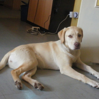 Photo #153805 de Luna