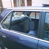 igor_voiture__1_