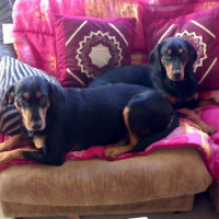 Photo #153943 de Urko