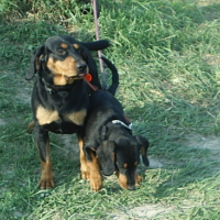 Photo #153949 de Urko