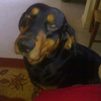 Photo #153967 de Urko