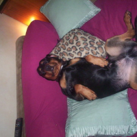 Photo #153973 de Urko