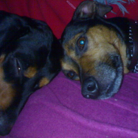 Photo #153979 de Urko