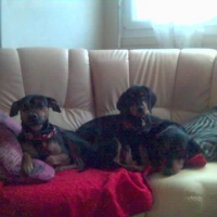 Photo #153985 de Urko