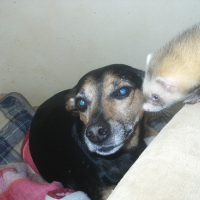 Photo #154111 de Tikky