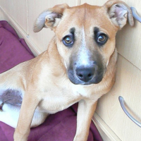 Photo #154219 de Lola