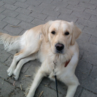 Photo0005