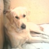 Photo0033