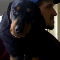 Photo #156601 de Boska