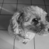 DSC00007