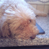 Photo0045