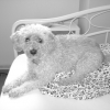 DSC00090