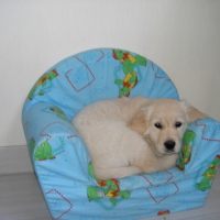 Photo #157057 de Djazz