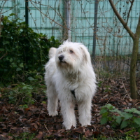 Photo #157411 de Tsouky