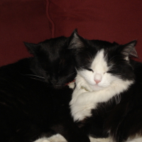 Photo #157567 de Nocibe