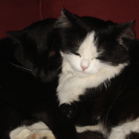 Photo #157579 de Nocibe