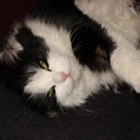 Photo #157681 de Nocibe
