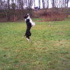 Photo0095