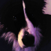 Photo0082