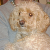 DSC00505