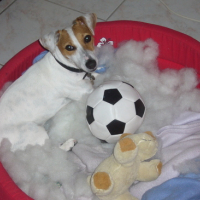 Photo #159661 de Cassy