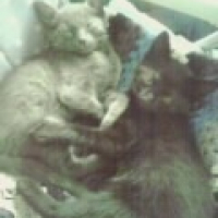 Photo #159745 de Angel