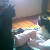 Photo #160393 de Grishka