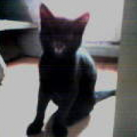 Photo #160411 de Grishka