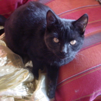 Photo #160429 de Grishka