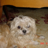 photo_noel_005