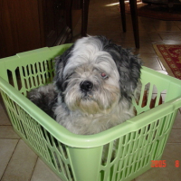 Photo #160573 de Kiwy