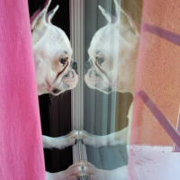 Photo #160627 de Diva