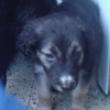 DSC00887__1_