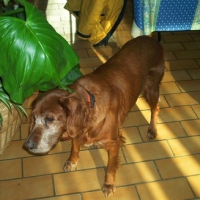 Photo #160699 de Elsa