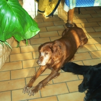 Photo #160705 de Elsa