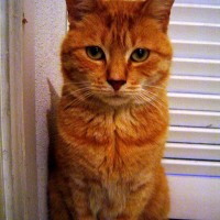 Photo #160951 de Kiki