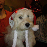 Photo #161101 de Canaille