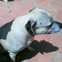 Photo #161377 de Symba