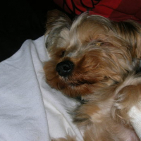 Photo #162211 de Junior