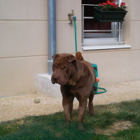 Photo #162265 de Crunch