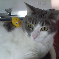 Photo #162961 de Louna