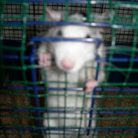 Photo #162979 de Lili