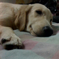 Photo #163351 de Kianna