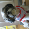 benji_posing_052