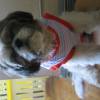 benji_posing_060