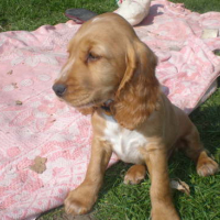 Photo #163939 de Eddy